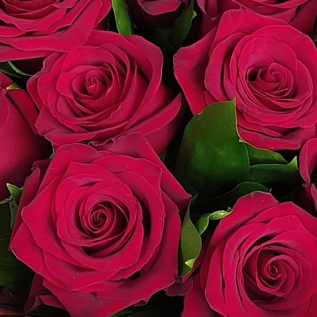 Букет цветов Фридом - Фото 5