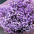 Букет цветов Lila - Фото 2