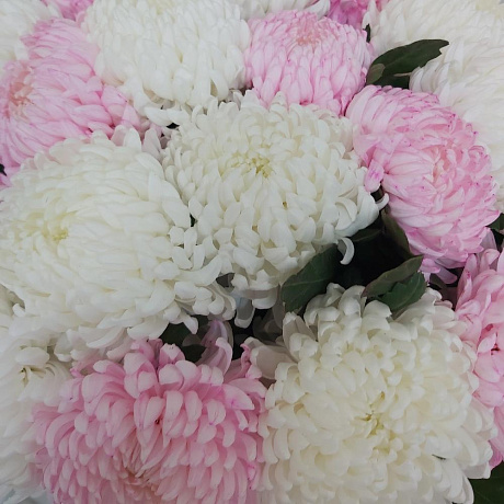 Букет Зефирное облачко  №160 - Фото 5