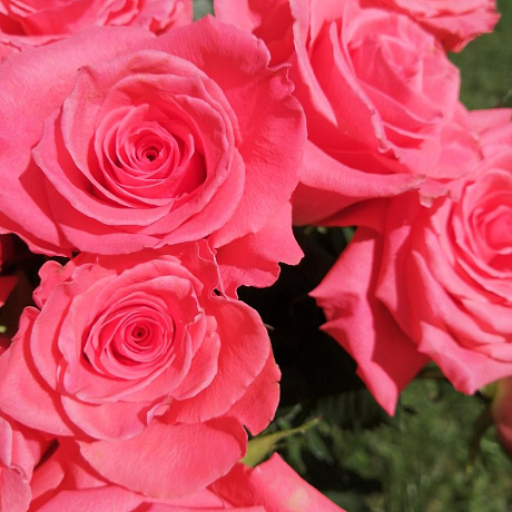 Букет цветов Карина - Фото 5