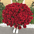 Букет из 101 розы 70см №160 - Фото 3