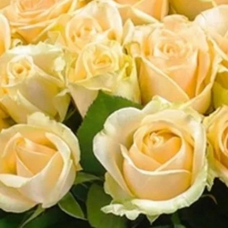 Букет цветов Романтика №173 - Фото 3