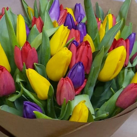 Микс из тюльпанов - Фото 2