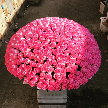 Букет цветов Розовое танго №164 - Фото 2