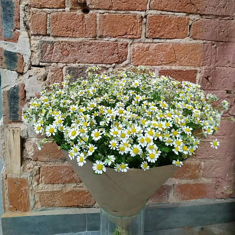 Букет из жизнерадостных ромашек - Фото 2