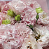 Букет цветов Pink lace - Фото 5