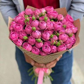 Кустовая роза Мисти Баблс