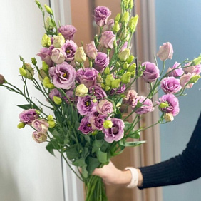 Эустома №169