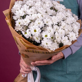 Букет из 15 белых хризантем