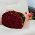 51 красная роза 60 см в сизали - Фото 2