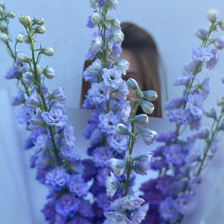 Букет из дельфиниума №160 - Фото 4