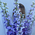 Букет из дельфиниума №160 - Фото 4