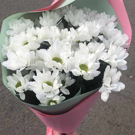 Букет из 5 кустовых хризантем №160 - Фото 2