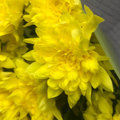 Букет из желтых Хризантем - Фото 5
