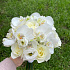 Свадебный букет с орхидеями - Фото 6