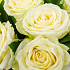 Цветы в коробке 9 роз Мондиаль №160 - Фото 3