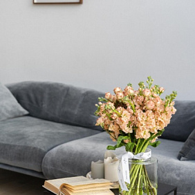 Дуэт Маттиола и Кустовая Роза №160