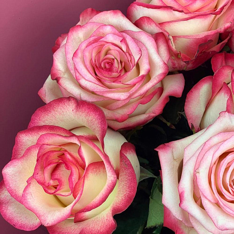 Букет цветов Пудровые облака 7 - Фото 5