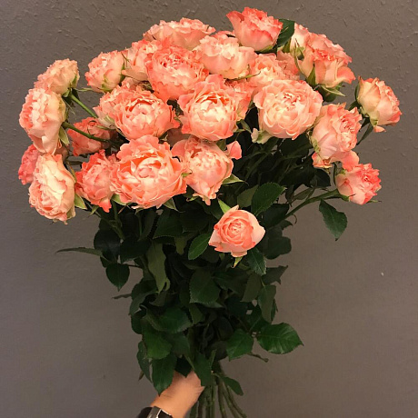 9 кустовых розочек - Фото 3