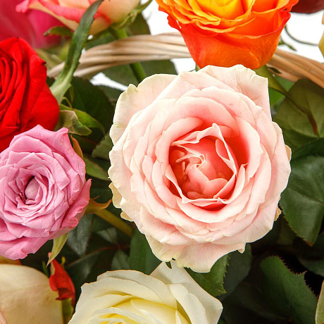 Цветы в корзине 21 розы Аморе мио - Фото 3