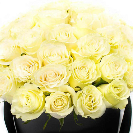 LUXURY!51 белая роза в шляпной коробке - Фото 4