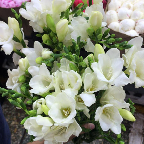 Букет цветов Фрезия - Фото 3