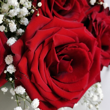 Букет мерцание - Фото 2