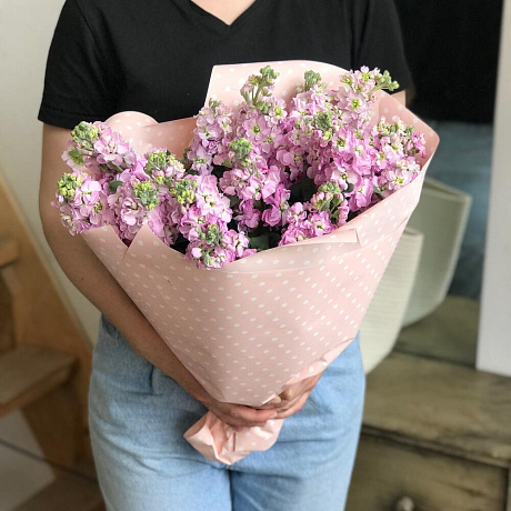 Розовая маттиола - Фото 2