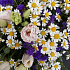 Композиция цветов Ромашковое поле - Фото 3
