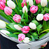 25 микс тюльпанов пинк - Фото 5