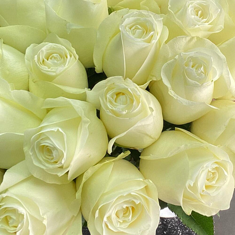 Букет из 25 эквадорских роз №164 - Фото 5