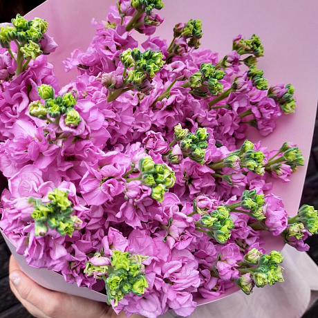 Букет из розовой маттиолы №160 - Фото 5