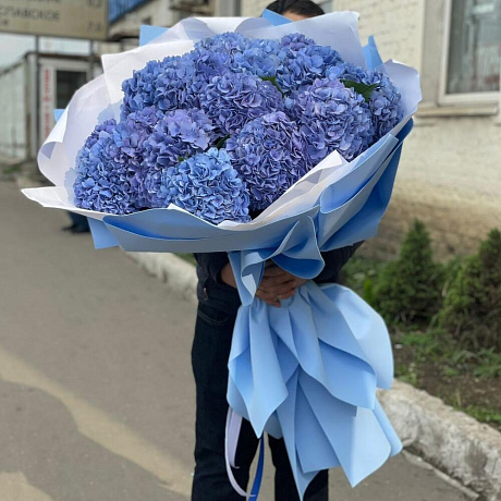 Огромный букет из 17 гортензий  - Фото 3