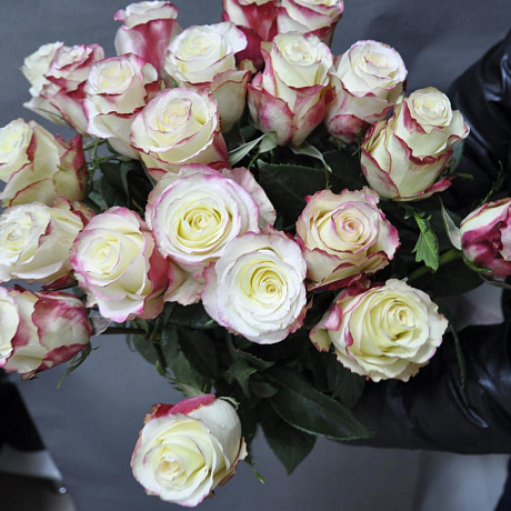 Розы Sweetnes ( Свитнес) 60 см. 21 шт - Фото 3