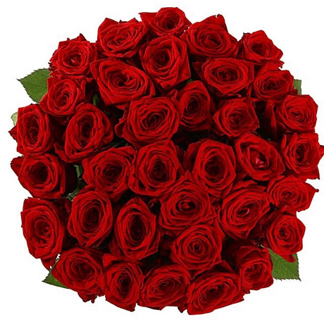 Букет 35 бордовых роз 70 см - Фото 2