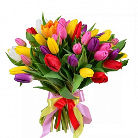 Букет из 35 разноцветных тюльпанов №2