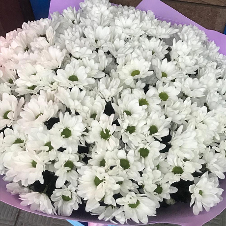 Букет цветов Ромашки XXXl - Фото 3