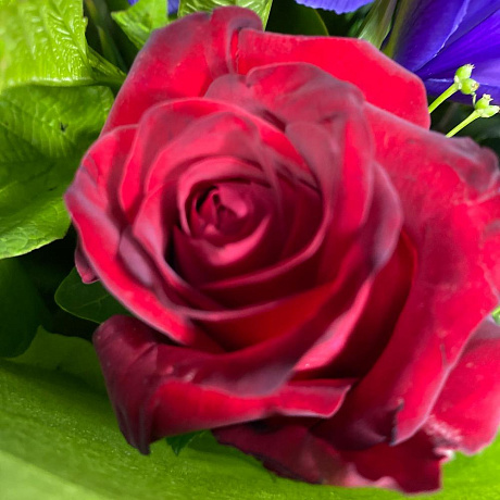 Яркий букет из ирисов и роз - Фото 5