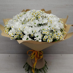 Букет "Ромашек" №182