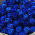 49 синих роз - Фото 2