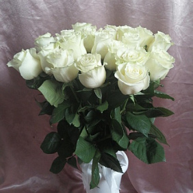 Букет из 21 белой эквадорской розы
