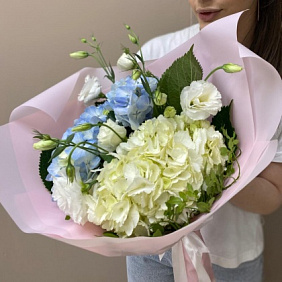 Гортензии в красках №162