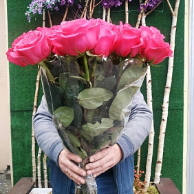 Роза Пинк Флойд 80 см