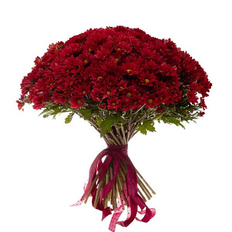 Букет соло красных кустовых хризантем - Фото 3