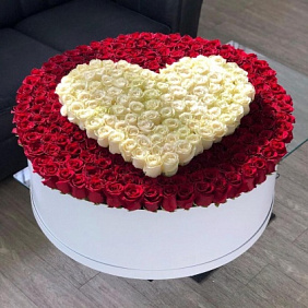 Огромная коробка 351 роза эквадор сердце