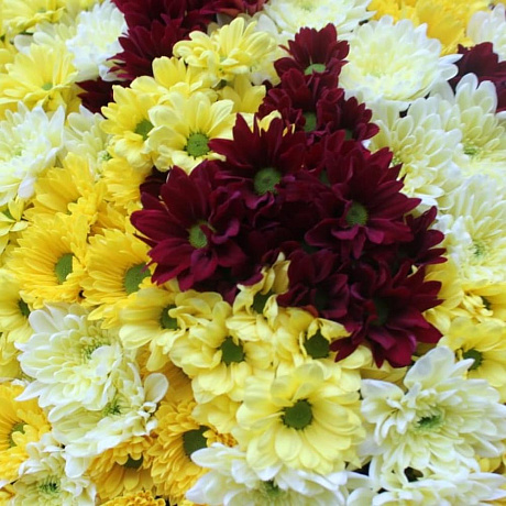 Букет хризантем Ослепительная леди - Фото 3
