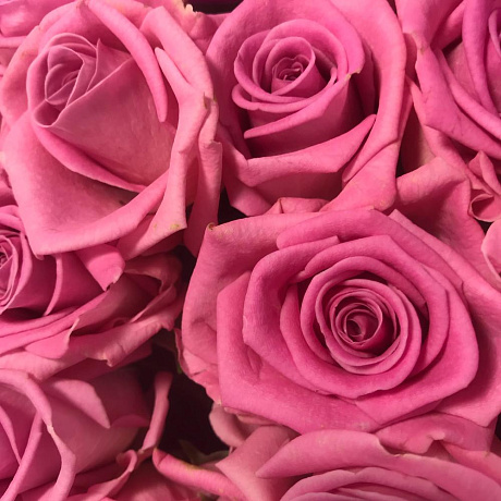 Букет из роз Аква 29 шт - Фото 6