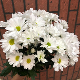 Букет цветов "Белоснежка" №193