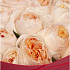 Букет соло David Austin Juliet - Фото 2