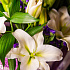 Букеты цветов Ваниль №165 - Фото 3